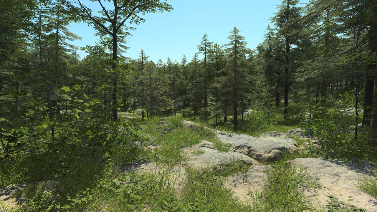 European forest_1