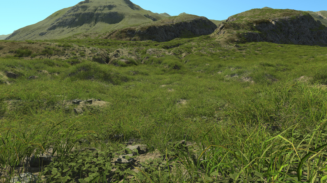 Grassland_1