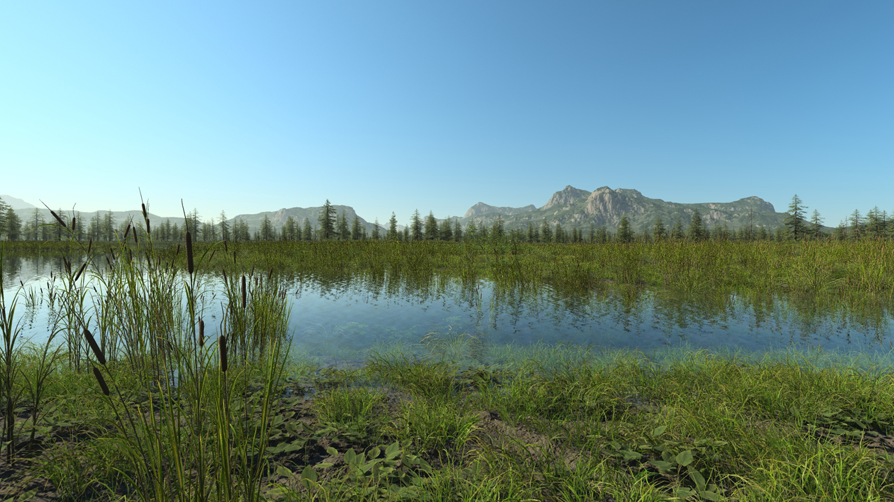 Wetland shoreline_2