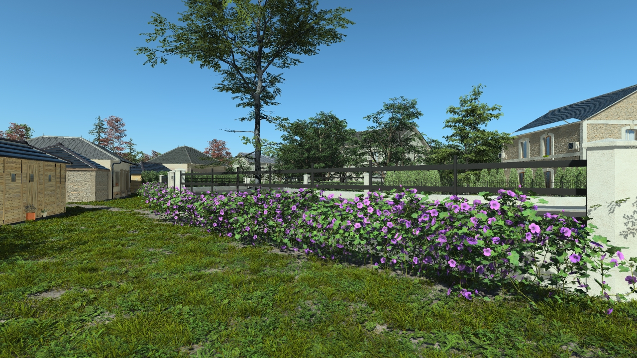 Geranium Hedge_0