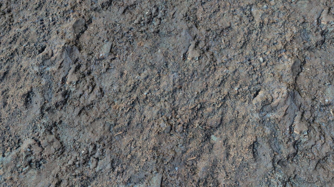 Fallow grounds_5