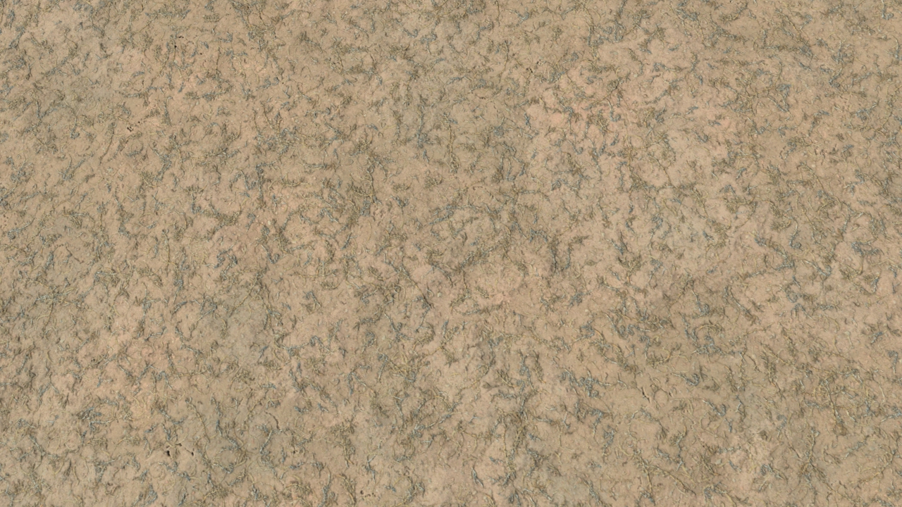 Arid forest grounds_3