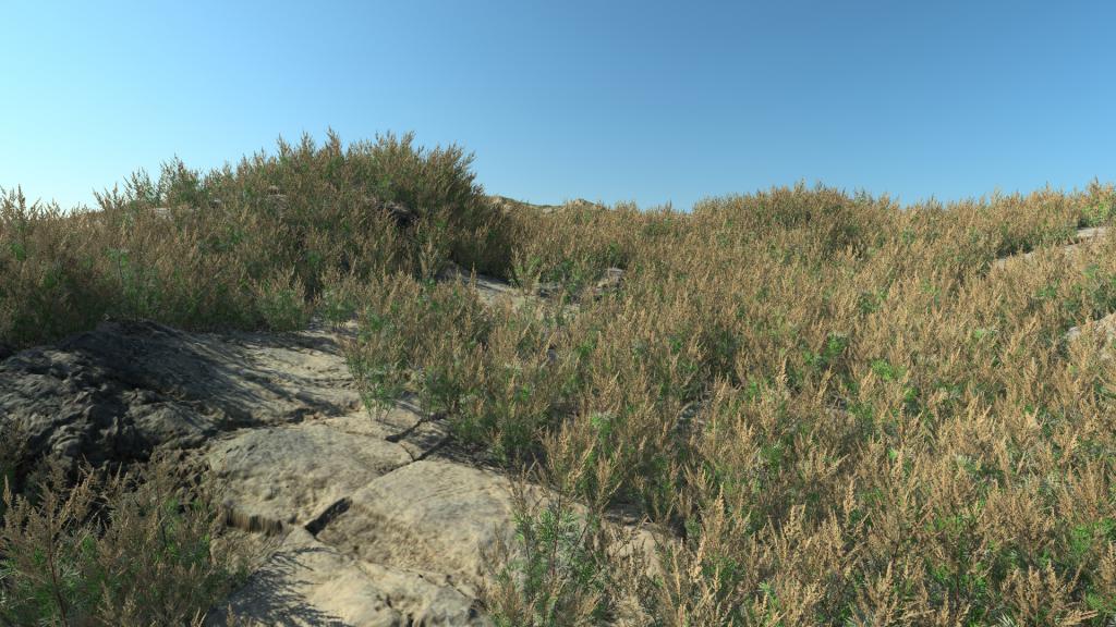 Summertime mugwort