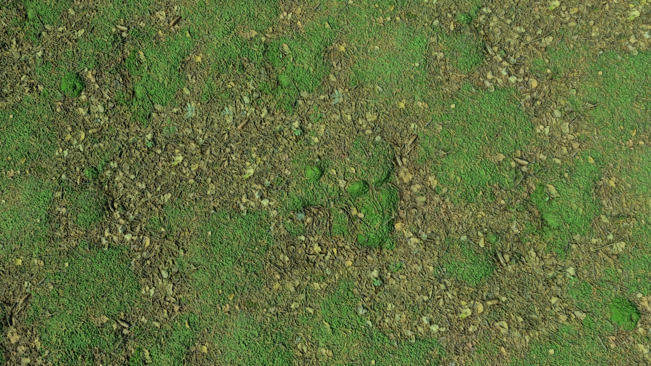 Mossy forest grounds_3