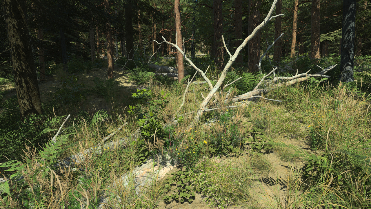 Fallen Scots Pine Trees_0