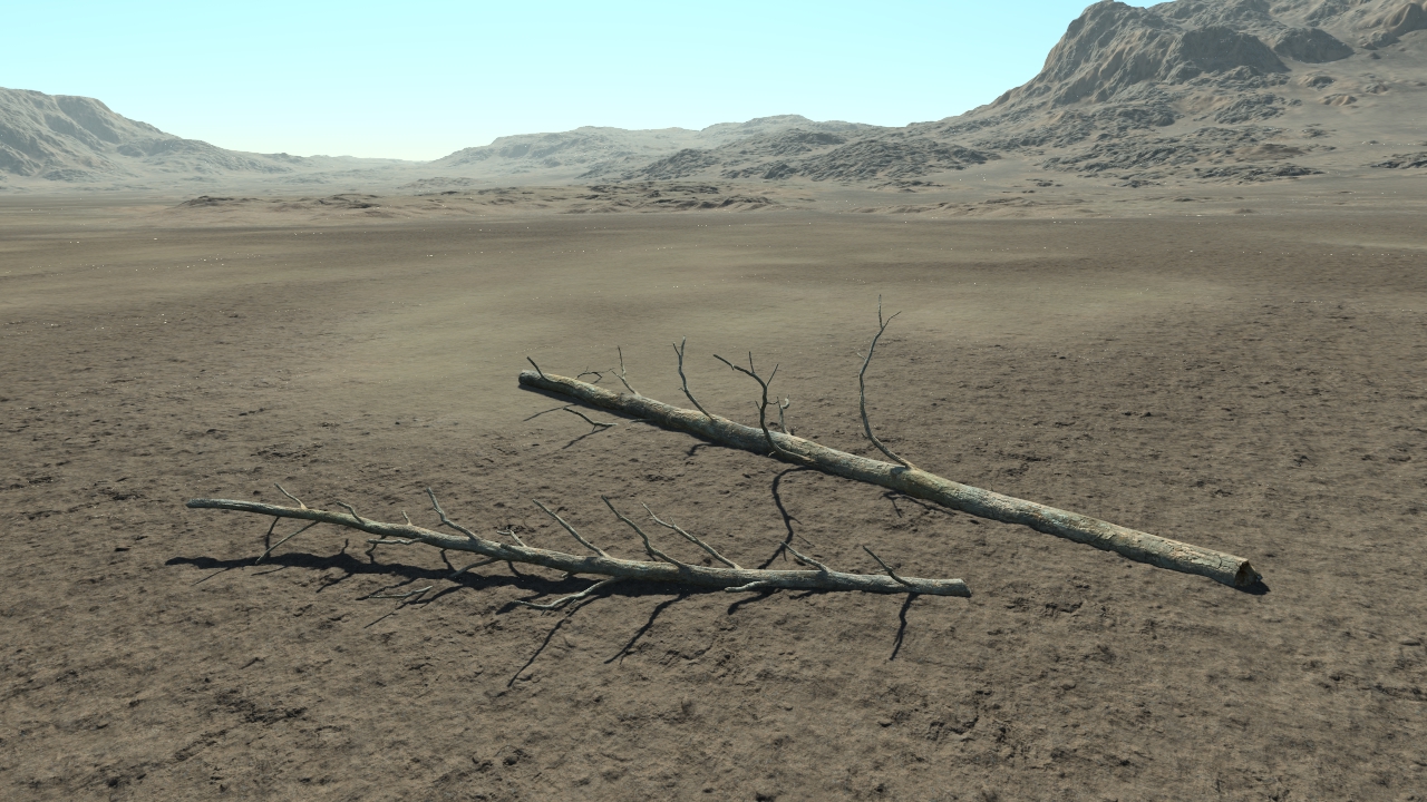 Fallen Scots Pine Trees_3