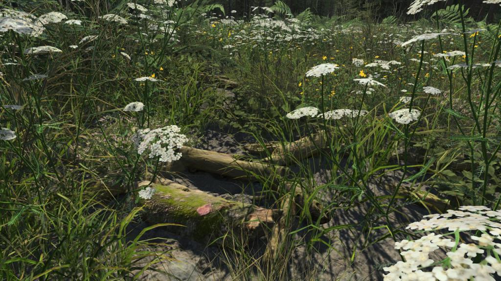 Small ground branches