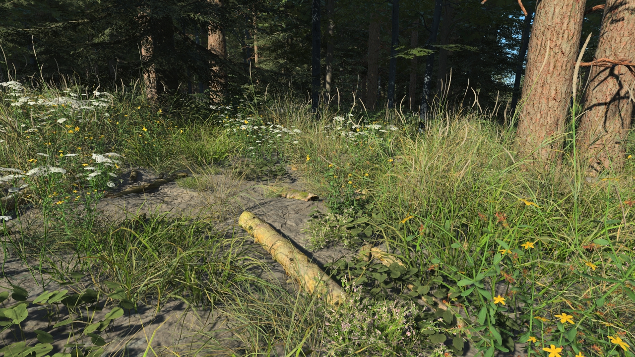 Small ground branches_1