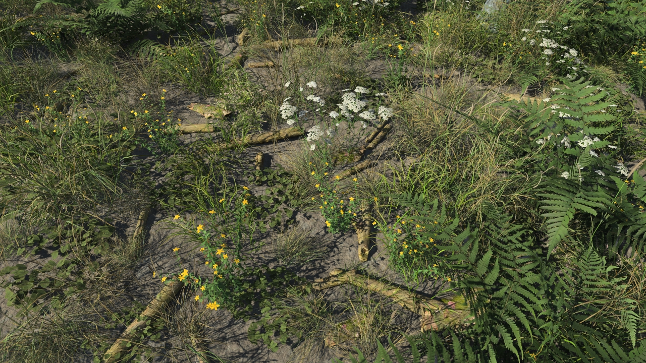 Small ground branches_2