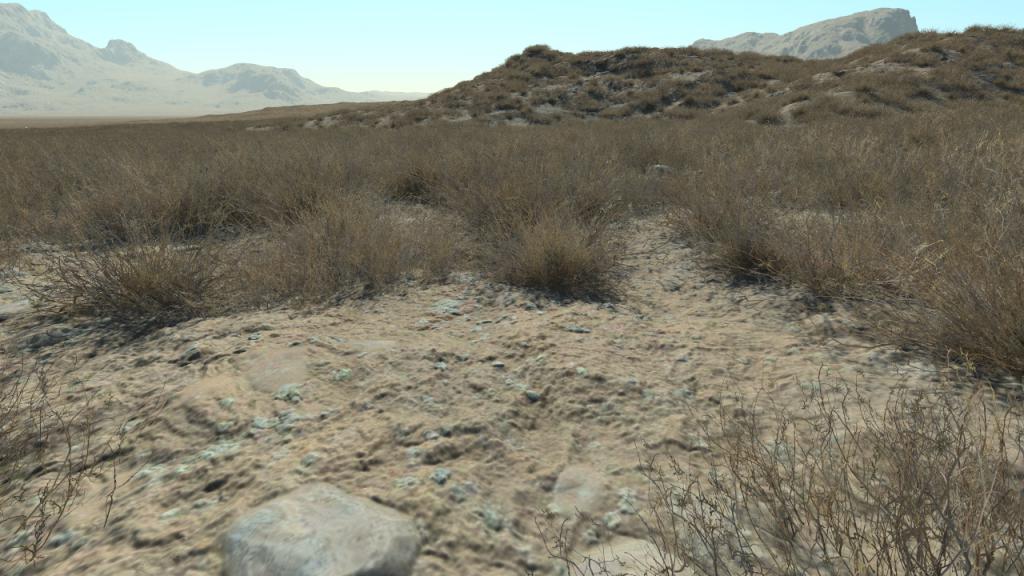 Dry Calluna