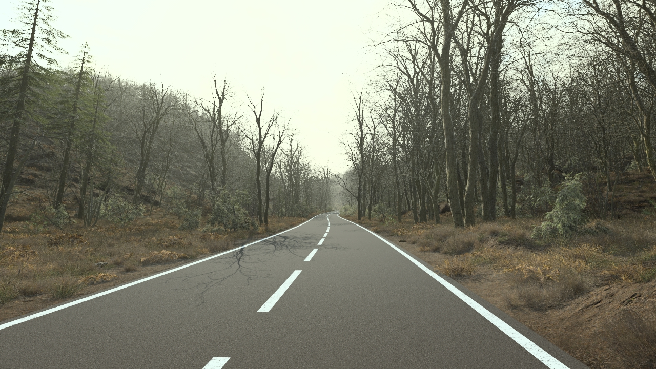 Oak Forest In Winter_3