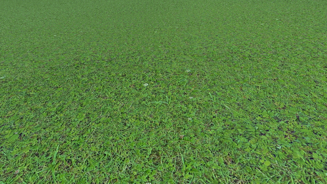 Grass covered soils_2