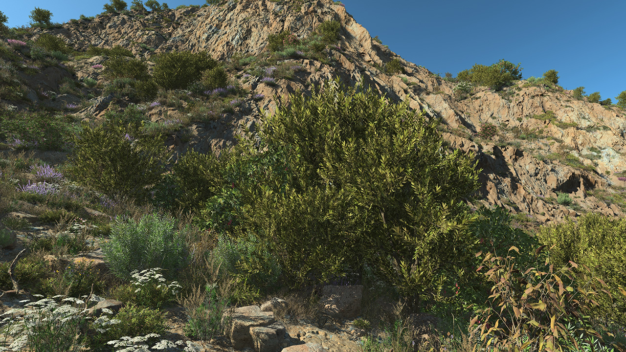 Laurel Wild Bushes_0