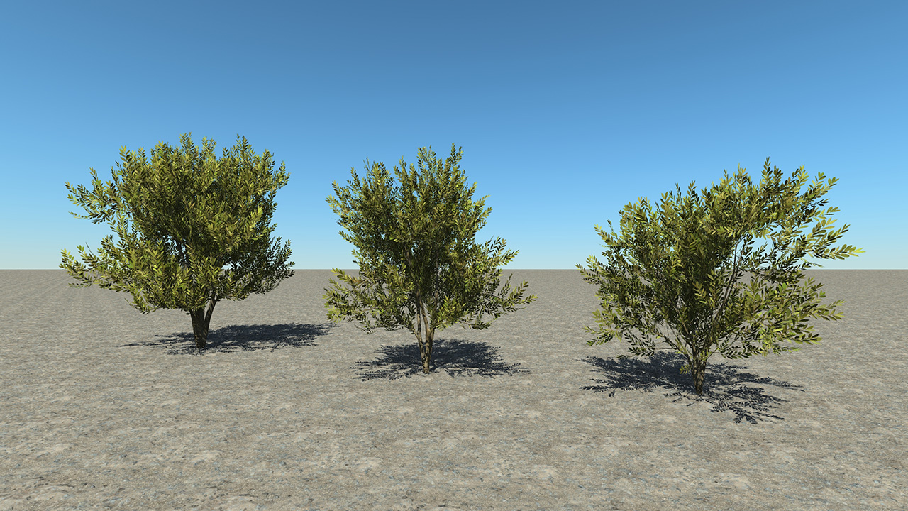 Laurel Wild Bushes_4