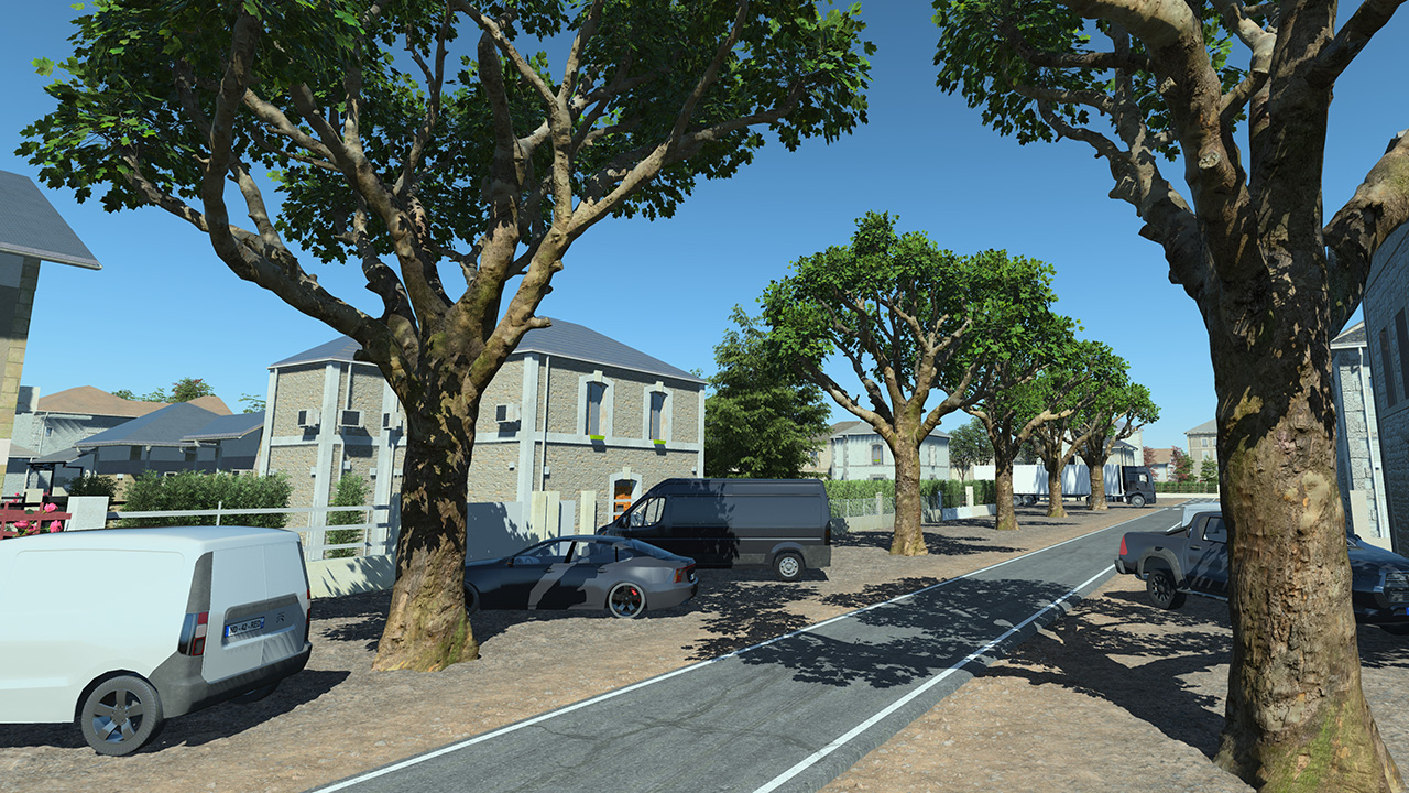 Platanus Pruned Trees_6