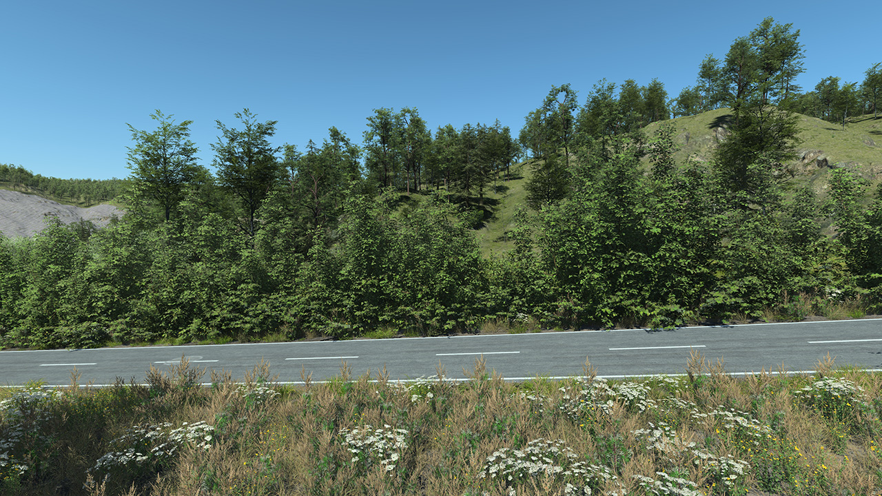 Rural Roadside Biome_3