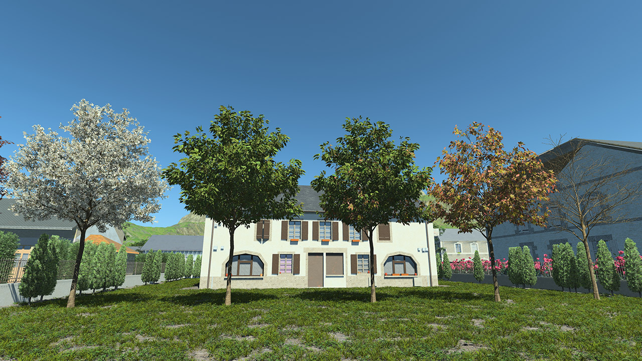 Small Cherry Trees_2