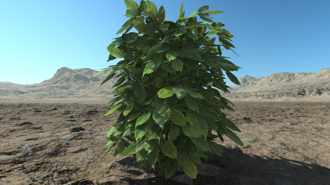Small hornbeam hedge_2