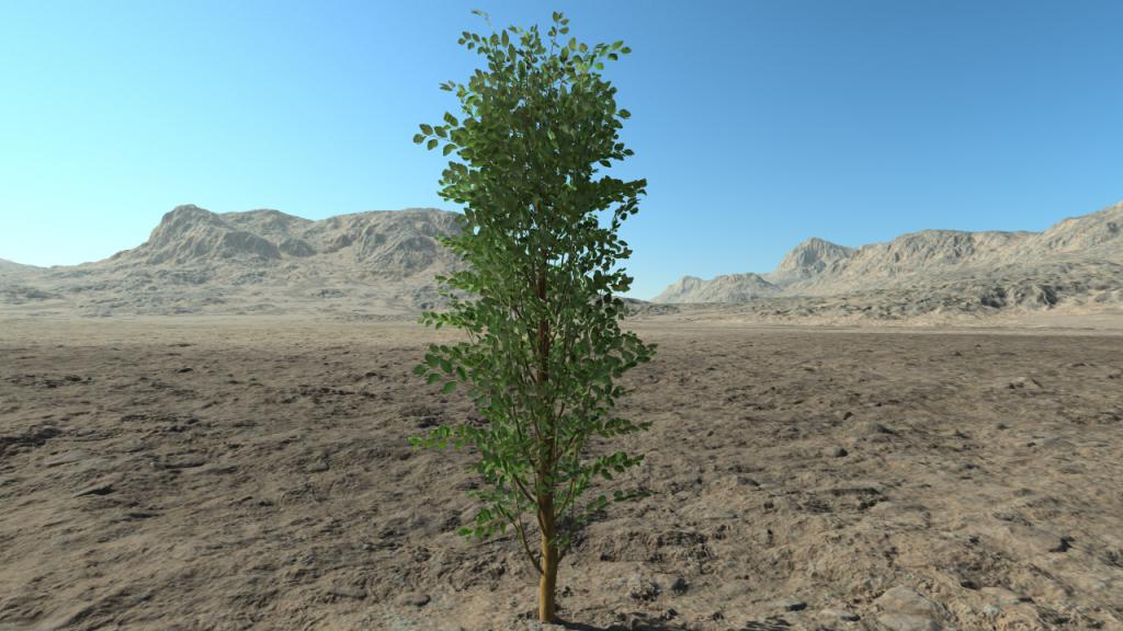 Medium spiraea hedge