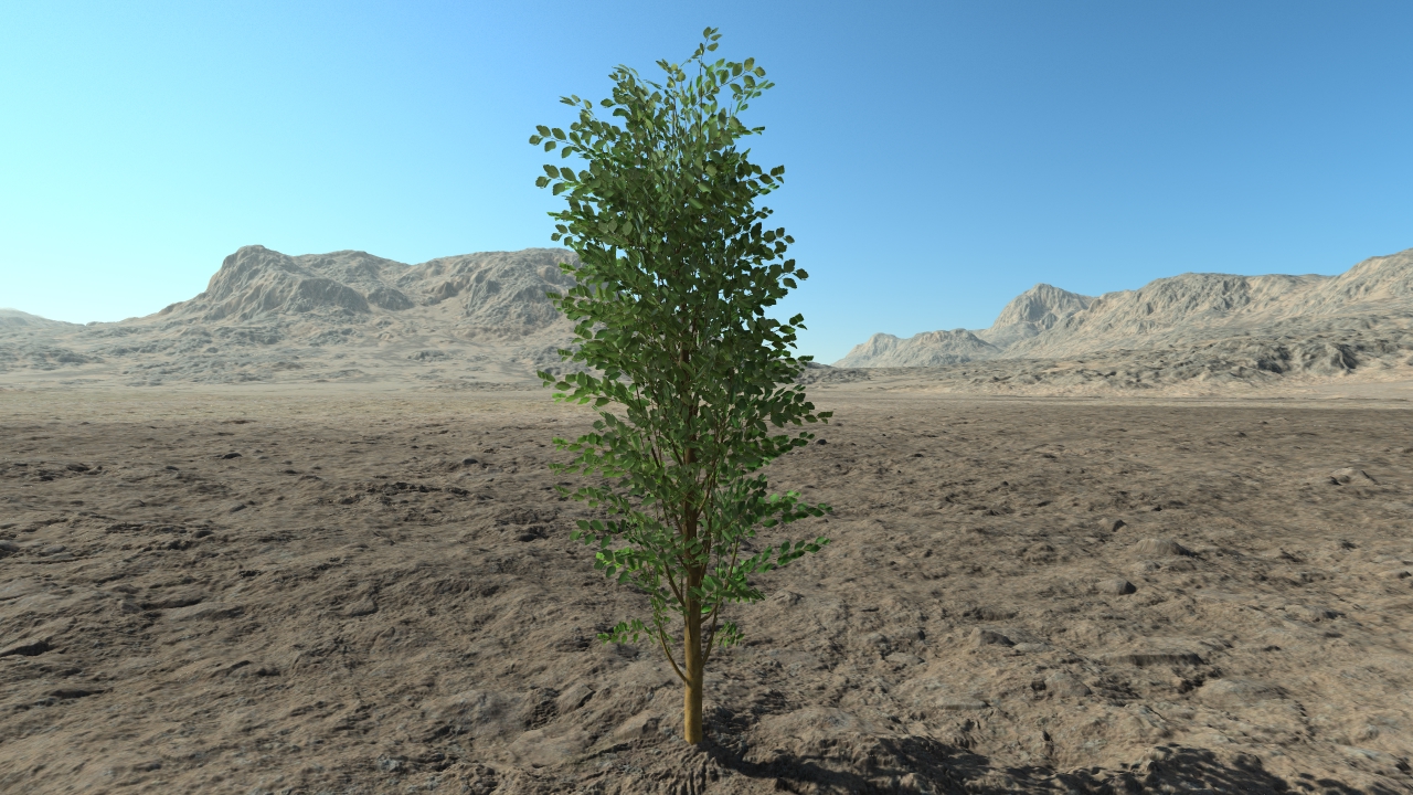 Medium spiraea hedge_1