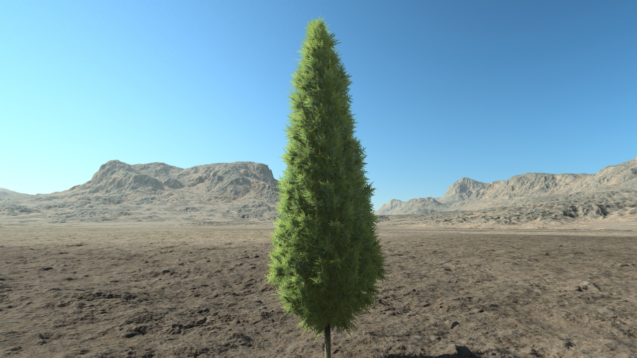 High thuja hedge_1