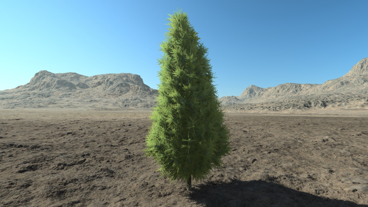 Medium thuja hedge_0