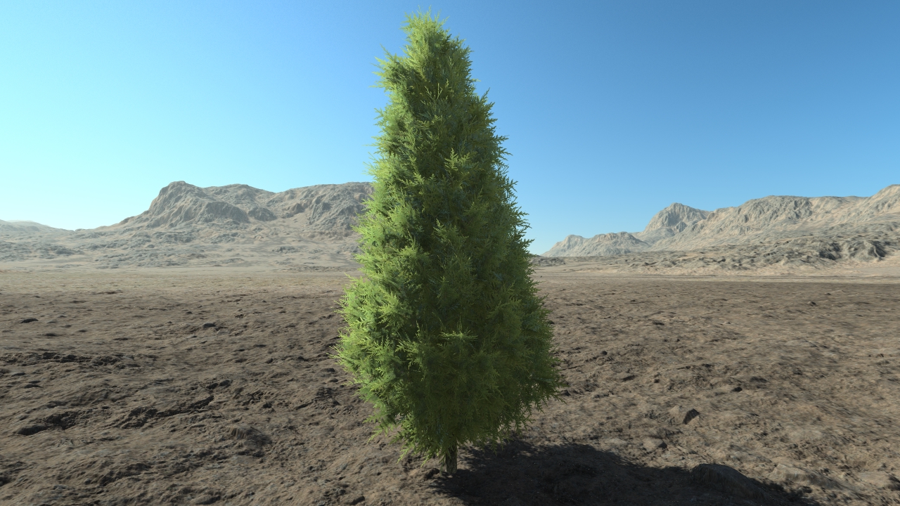 Medium thuja hedge_1