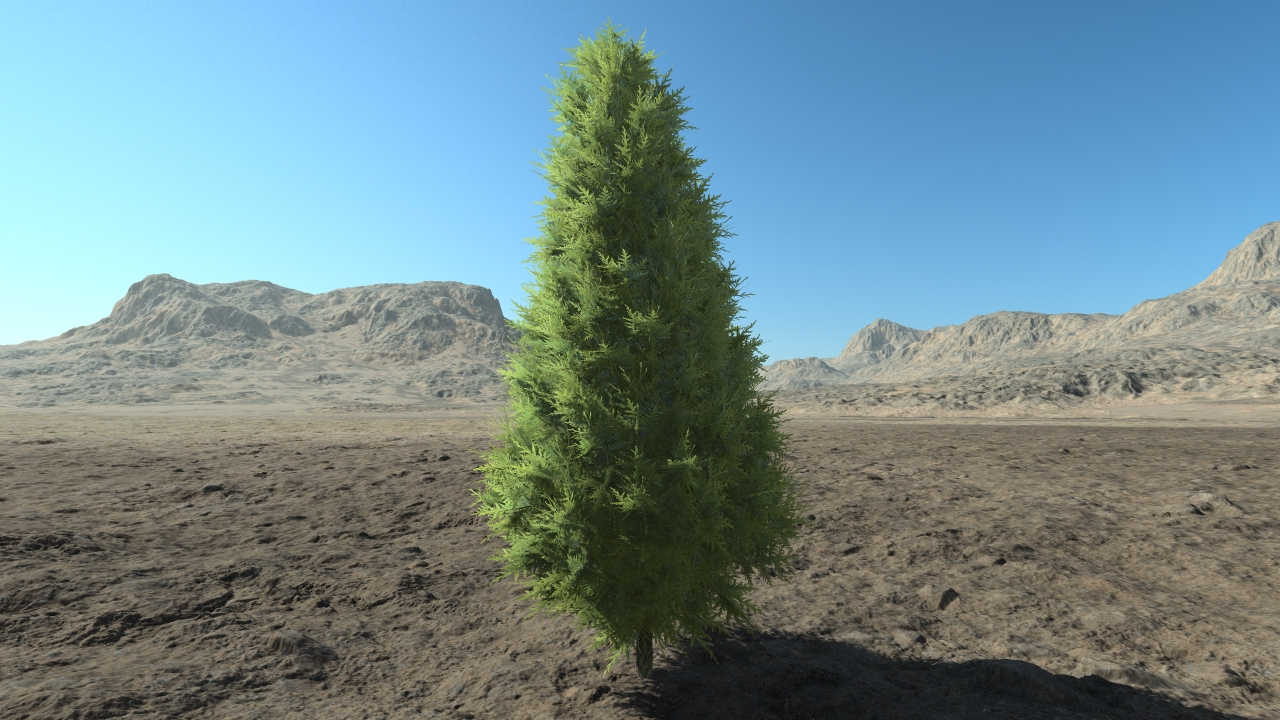 Medium thuja hedge_2