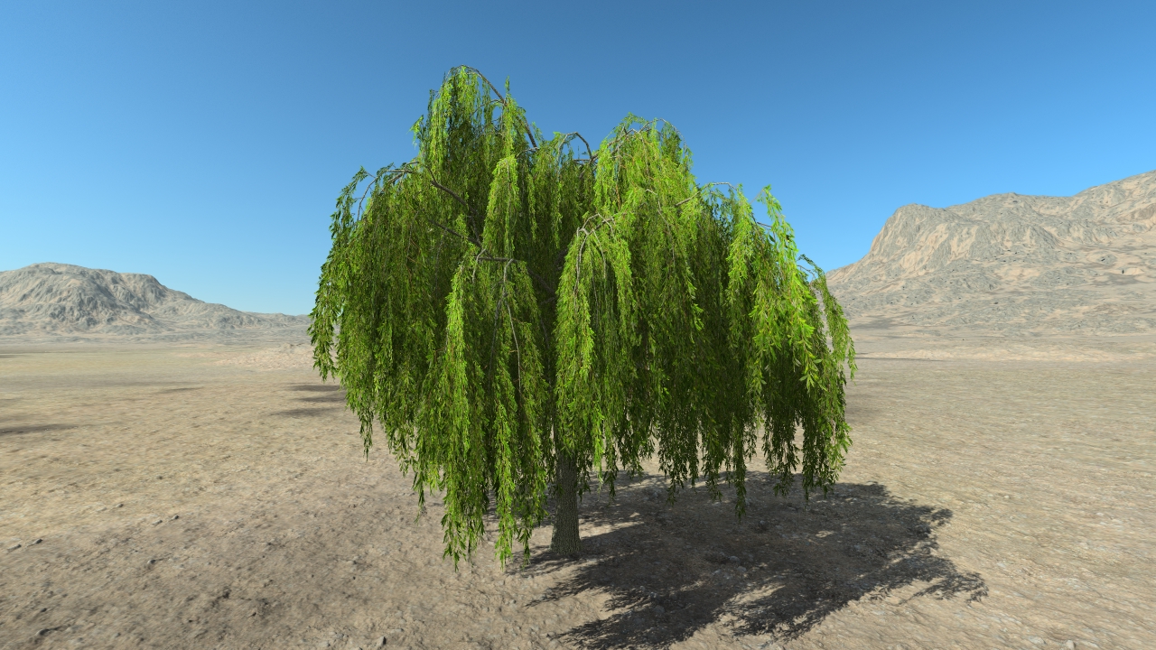 Summer weeping willows_2