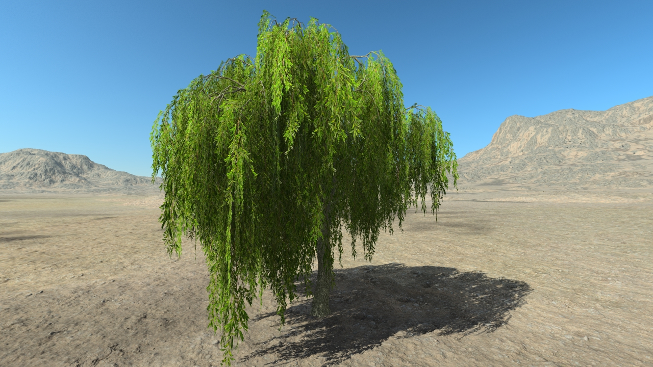 Summer weeping willows_3